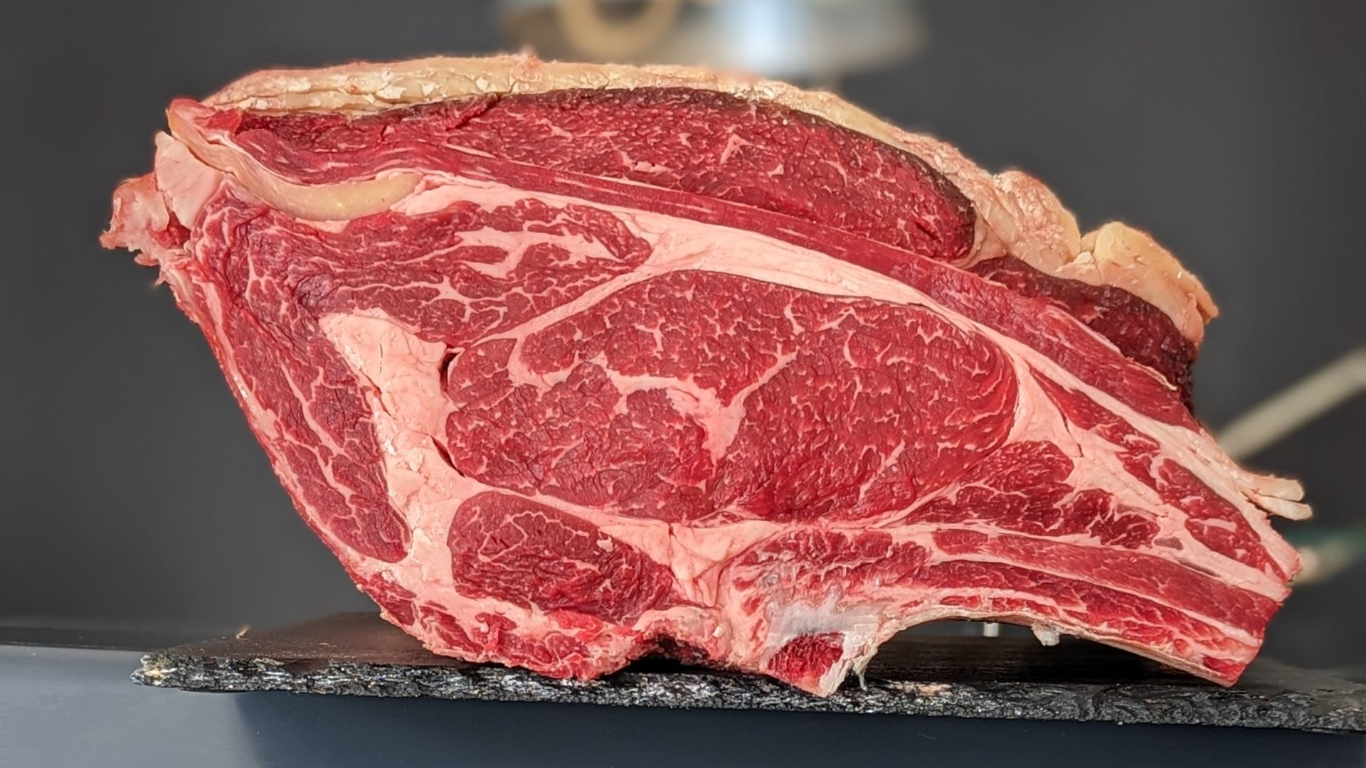 Vaca Simmental